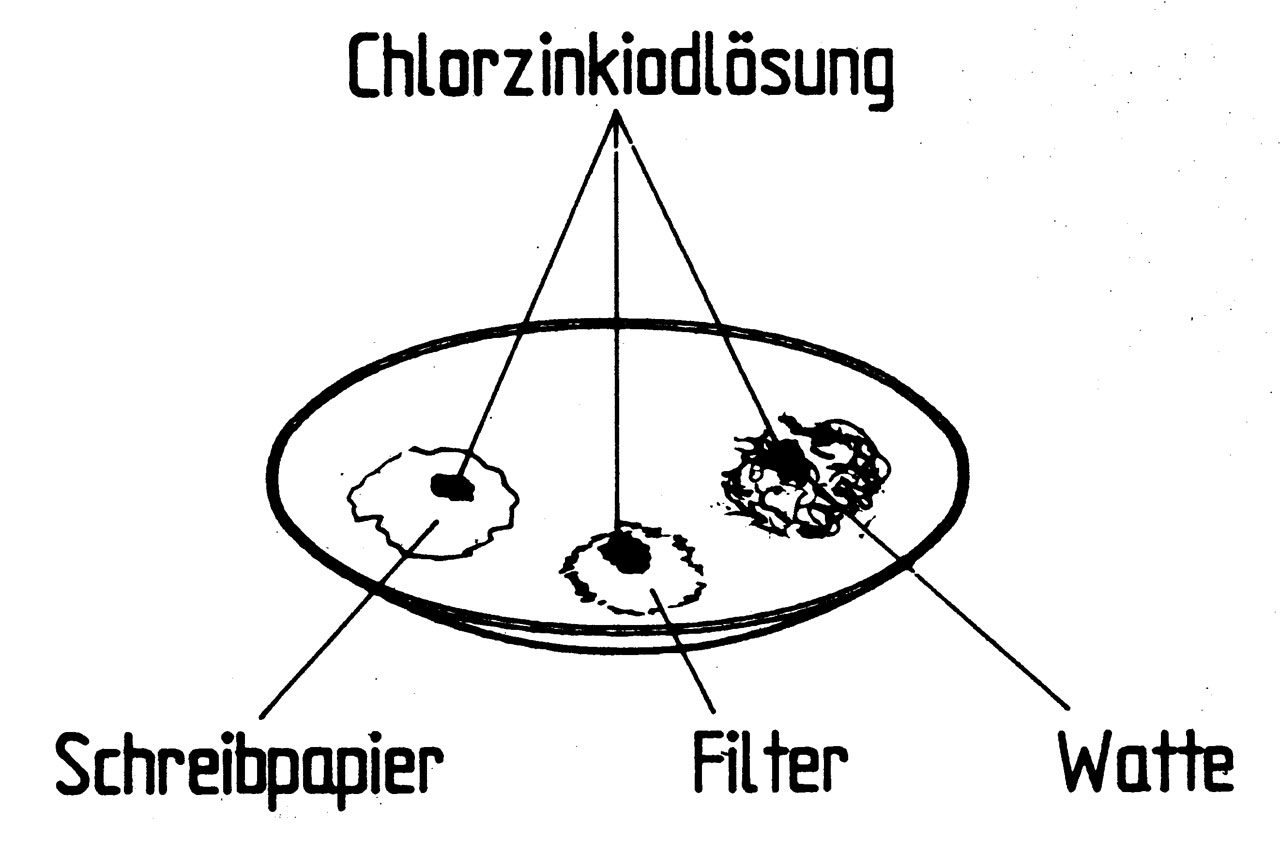 Foto Versuchsaufbau: 2.8.1.2 Die kleine Zelle - Cellulosennachweis in verschiedenen Papiersorten und in Watte